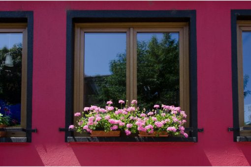 6 bonnes raisons de choisir des fenêtres en bois pour une maison traditionnelle