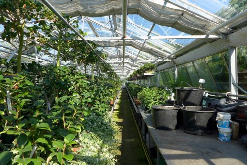 Installer une serre de jardin : verre trempé ou polycarbonate