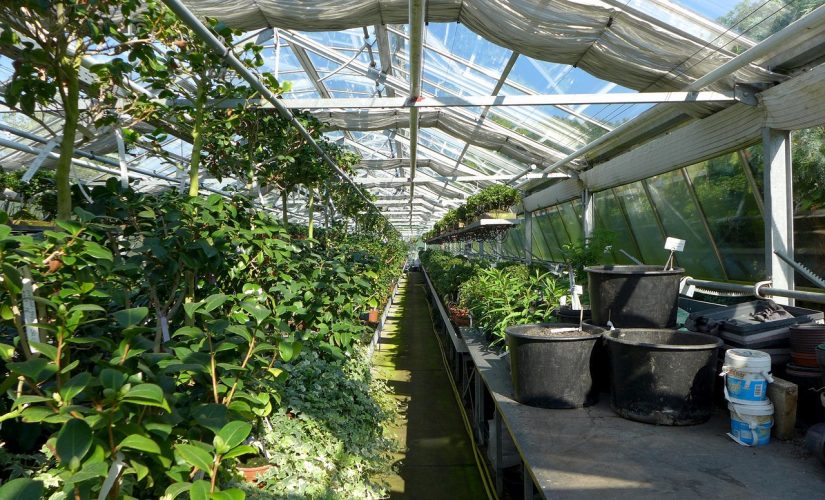 Installer une serre de jardin : verre trempé ou polycarbonate