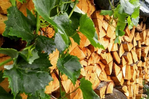 Stockage bûches compressées : interdiction absolue d&rsquo;humidité