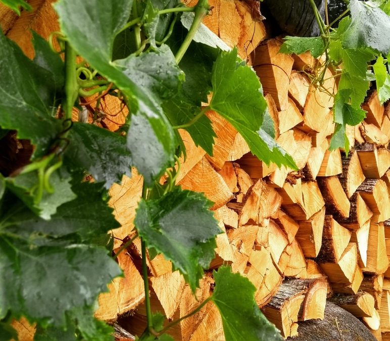 Stockage bûches compressées : interdiction absolue d&rsquo;humidité
