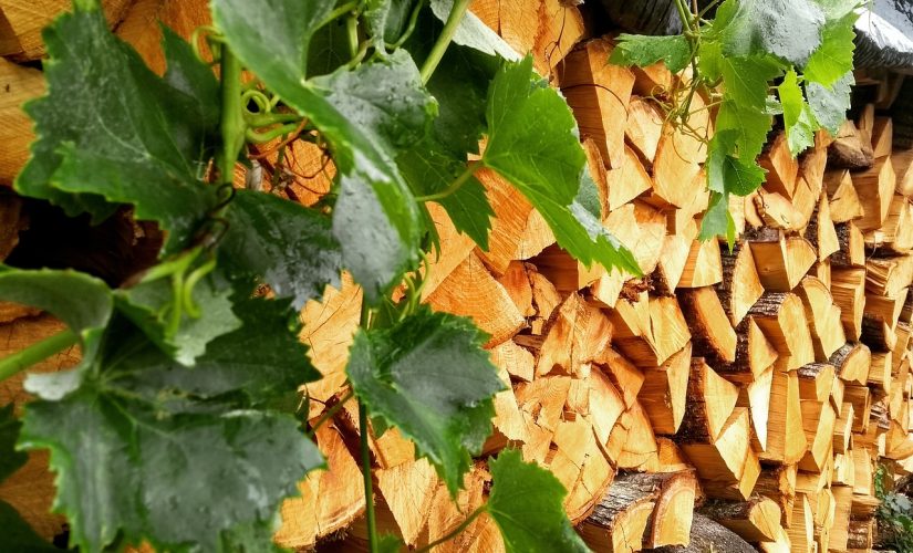 Stockage bûches compressées : interdiction absolue d&rsquo;humidité