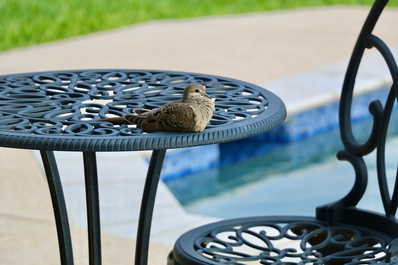 découvrez des idées de design pour aménager une terrasse de piscine élégante, confortable et adaptée à votre extérieur.