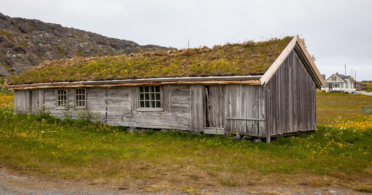 réparez votre toiture de cabanon efficacement : repérez les fuites, remplacez les matériaux endommagés et protégez votre abri des intempéries.